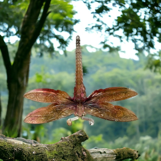 Dragon Fly