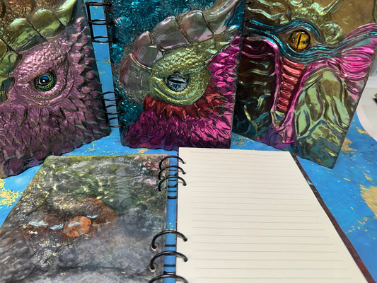 Dragon Eye journal